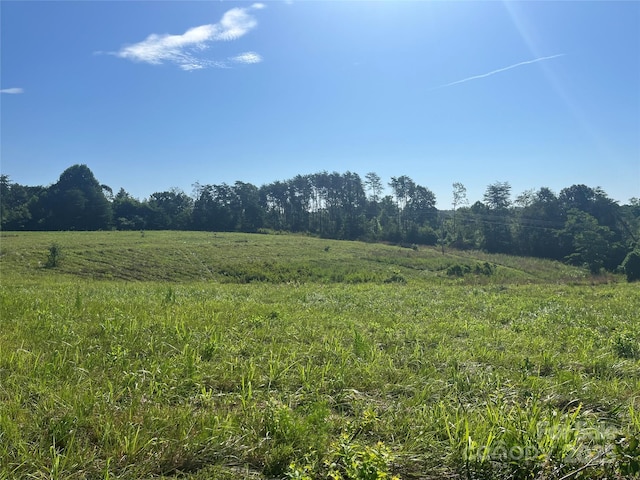 536 Pea Ridge Rd, Mill Spring, NC 28756 - photo 11