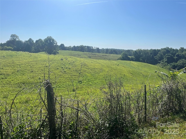 536 Pea Ridge Rd, Mill Spring, NC 28756 - photo 12