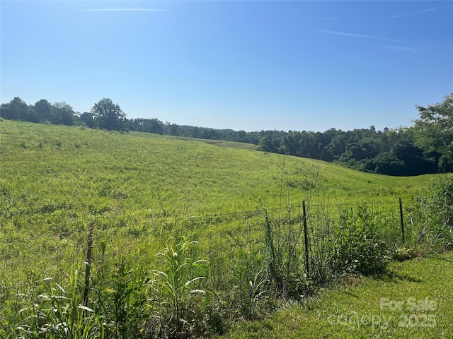 536 Pea Ridge Rd, Mill Spring, NC 28756 - photo 13