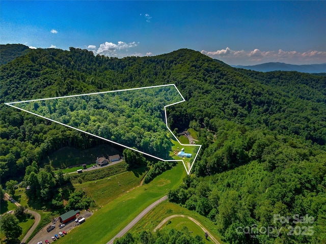 471 Claude Cook Rd, Sylva, NC 28779 - photo 5