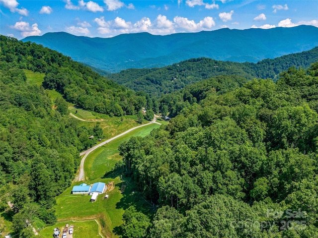 471 Claude Cook Rd, Sylva, NC 28779 - photo 6