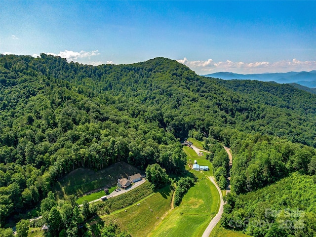 471 Claude Cook Rd, Sylva, NC 28779 - photo 7