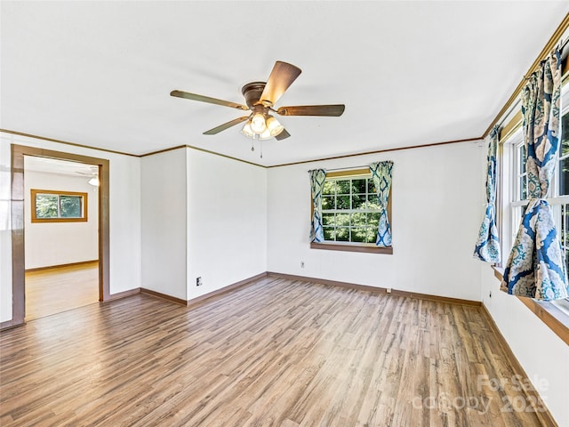 471 Claude Cook Rd, Sylva, NC 28779 - photo 8