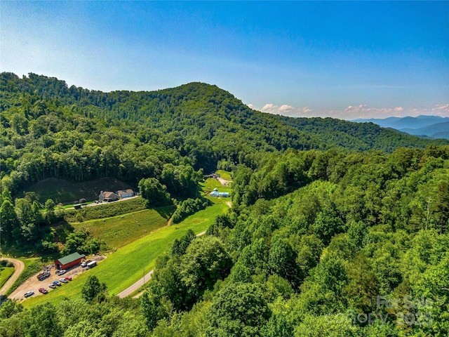 471 Claude Cook Rd, Sylva, NC 28779 - photo 37