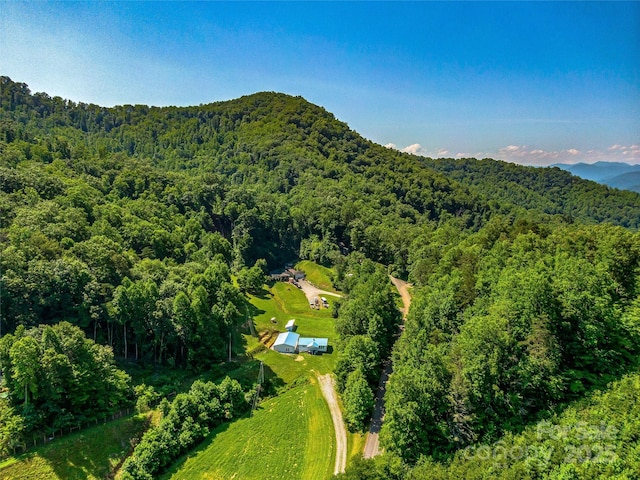 471 Claude Cook Rd, Sylva, NC 28779 - photo 38