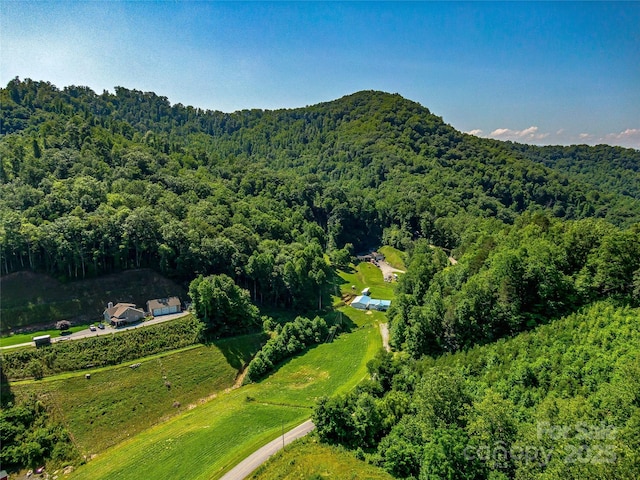 471 Claude Cook Rd, Sylva, NC 28779 - photo 40