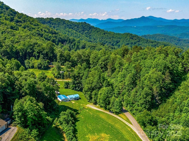 471 Claude Cook Rd, Sylva, NC 28779 - photo 41