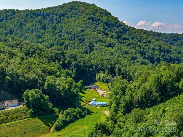 471 Claude Cook Rd, Sylva, NC 28779 - photo 42