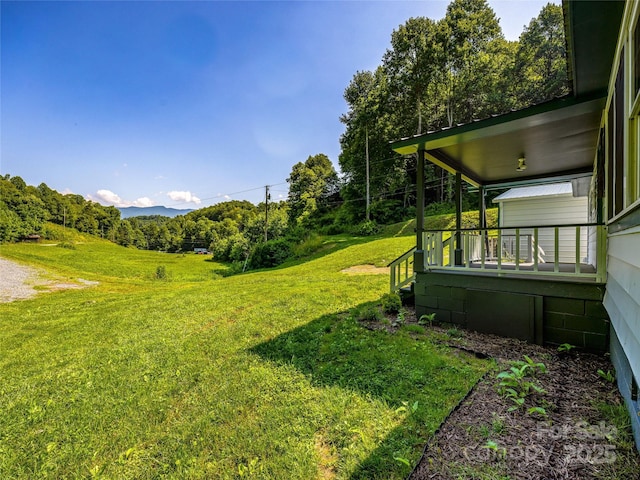 471 Claude Cook Rd, Sylva, NC 28779 - photo 43