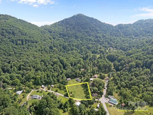 00000 Harwood Rd, Barnardsville, NC 28709 - photo 2