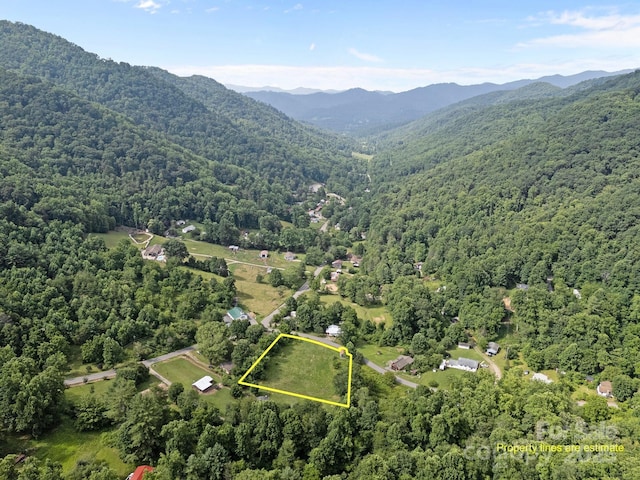00000 Harwood Rd, Barnardsville, NC 28709 - photo 3