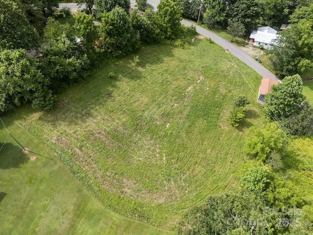 00000 Harwood Rd, Barnardsville, NC 28709 - photo 5