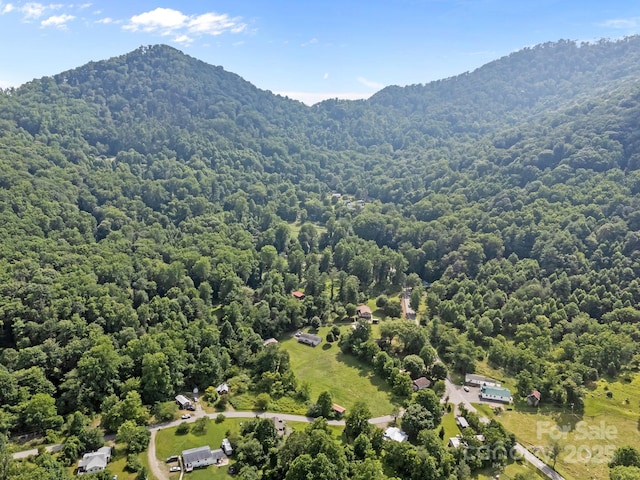 00000 Harwood Rd, Barnardsville, NC 28709 - photo 7