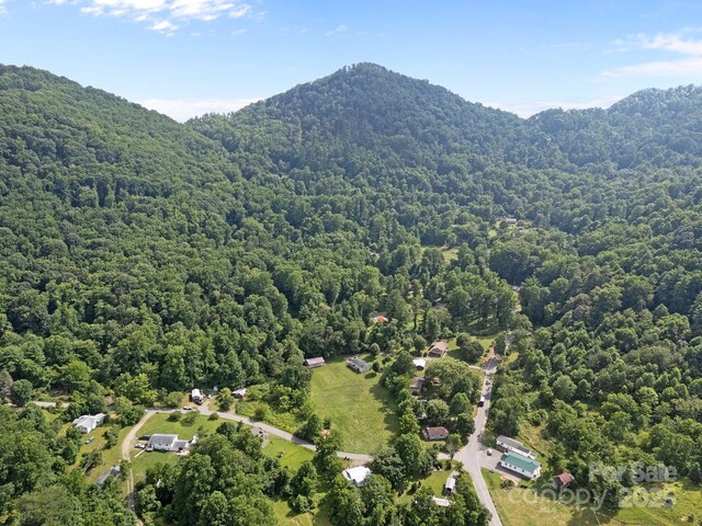 00000 Harwood Rd, Barnardsville, NC 28709 - photo 8
