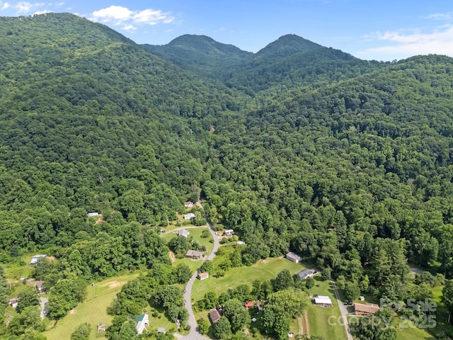 00000 Harwood Rd, Barnardsville, NC 28709 - photo 9