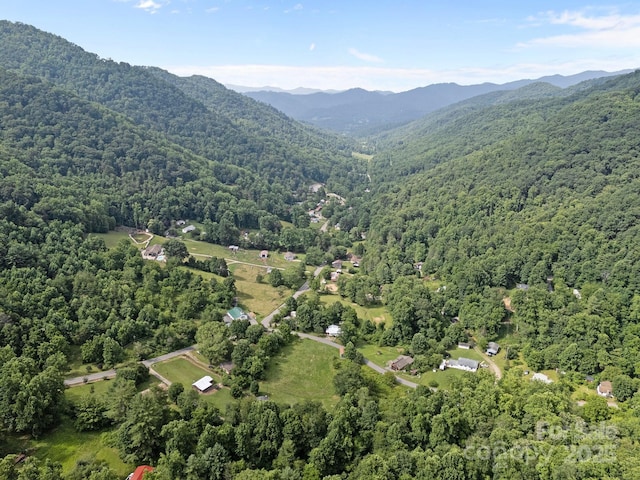 00000 Harwood Rd, Barnardsville, NC 28709 - photo 10