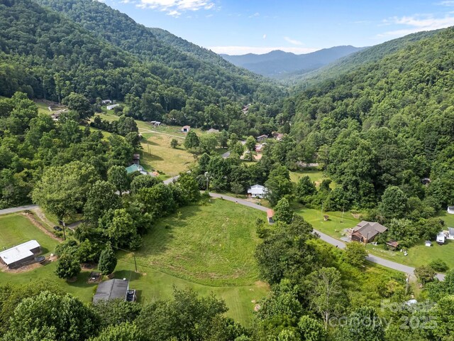 00000 Harwood Rd, Barnardsville, NC 28709 - photo 11