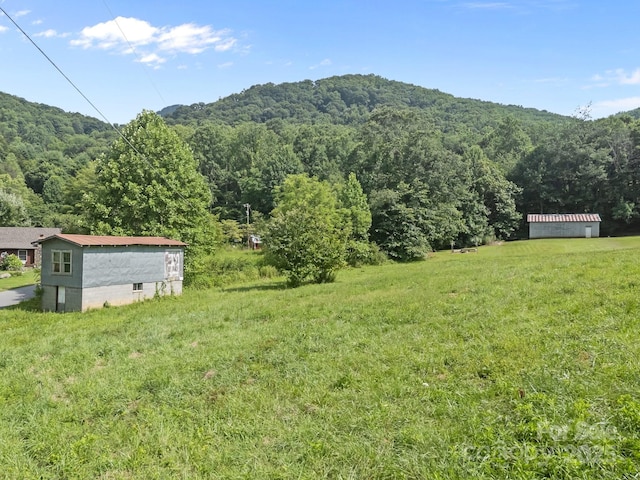 00000 Harwood Rd, Barnardsville, NC 28709 - photo 12