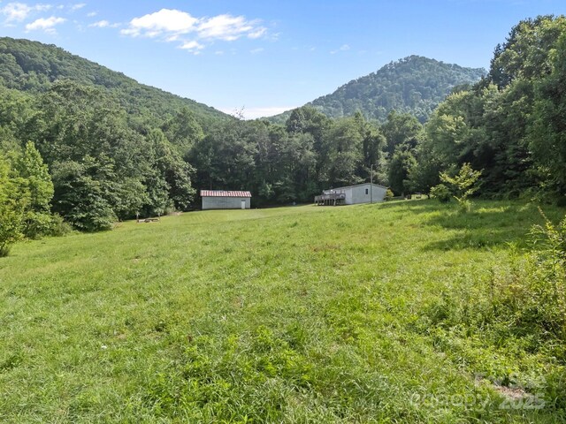 00000 Harwood Rd, Barnardsville, NC 28709 - photo 13