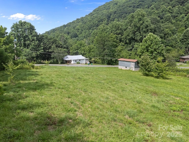 00000 Harwood Rd, Barnardsville, NC 28709 - photo 14