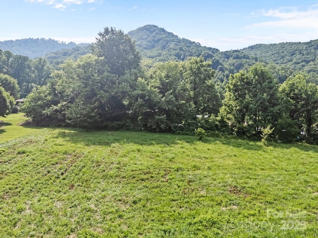 00000 Harwood Rd, Barnardsville, NC 28709 - photo 15