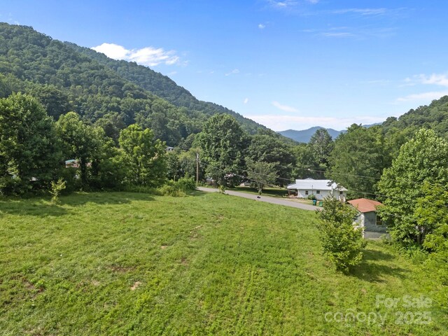 00000 Harwood Rd, Barnardsville, NC 28709 - photo 16