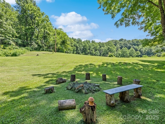 556 Crawford Cemetery Rd, Sylva, NC 28779 - photo 6
