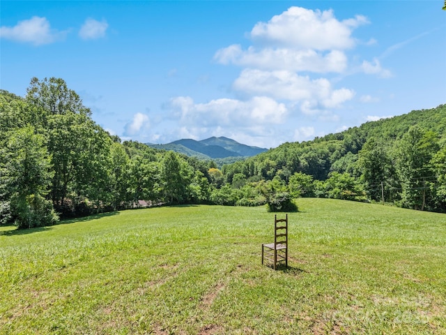 556 Crawford Cemetery Rd, Sylva, NC 28779 - photo 8