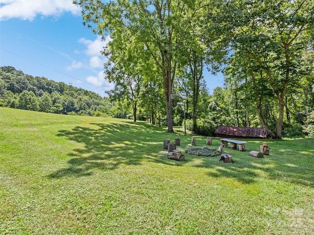 556 Crawford Cemetery Rd, Sylva, NC 28779 - photo 9