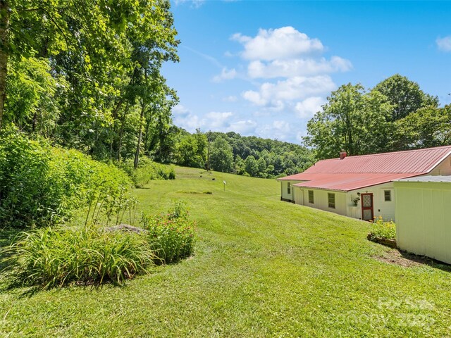 556 Crawford Cemetery Rd, Sylva, NC 28779 - photo 10