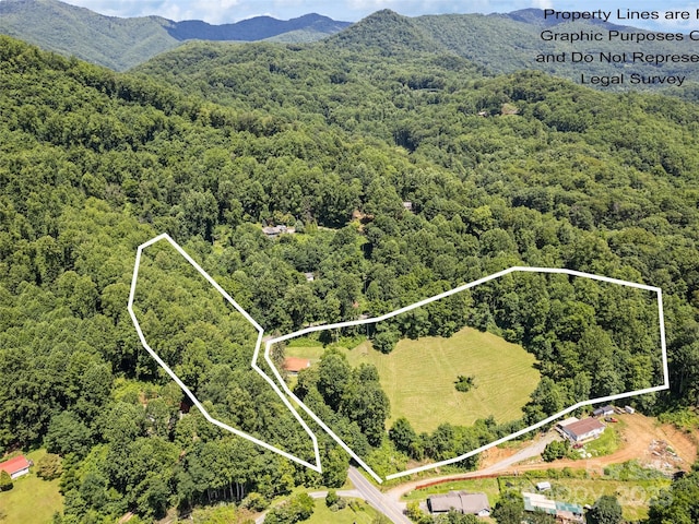 556 Crawford Cemetery Rd, Sylva, NC 28779 - photo 11