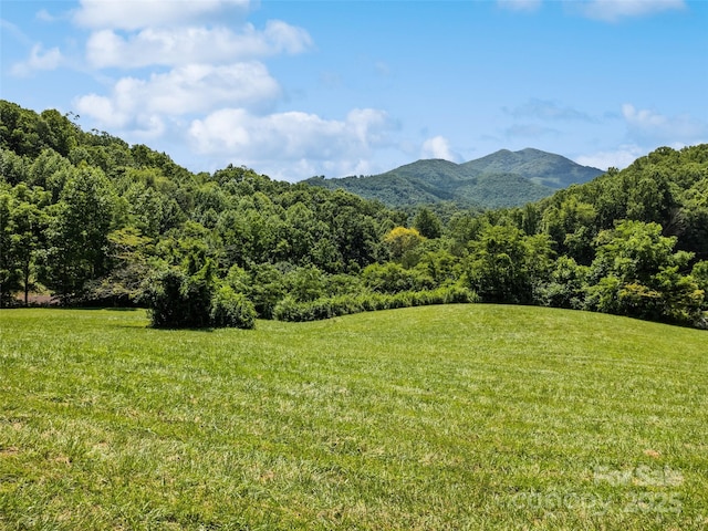 556 Crawford Cemetery Rd, Sylva, NC 28779 - photo 42