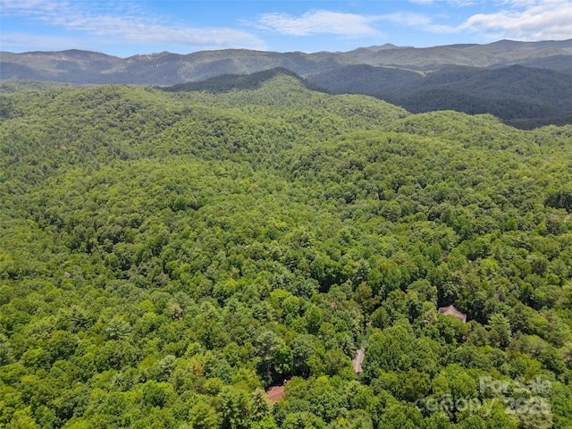 943 Salola Ln, Brevard, NC 28712 - photo 13