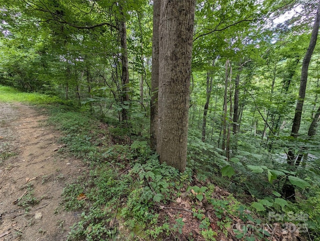 99999 Whispering Woods Path Unit 44, Mars Hill, NC 28754