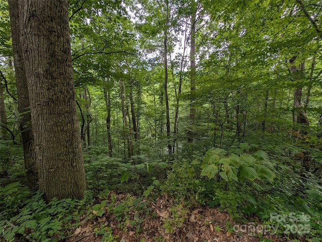 99999 Whispering Woods Path Unit 44, Mars Hill, NC 28754