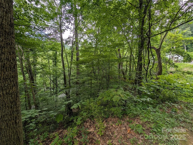 99999 Whispering Woods Path Unit 44, Mars Hill, NC 28754