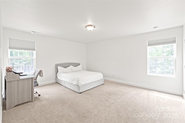 5203 Lawyers Rd E, Wingate, NC 28174 - photo 31