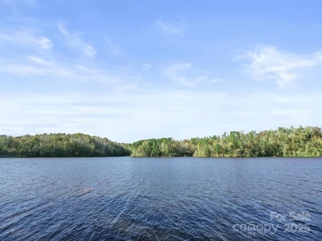 3903 15th Street Dr NE, Hickory, NC 28601 - water view