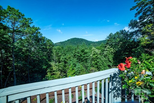 36 Lynx Dr, Black Mountain, NC 28711 - photo 3