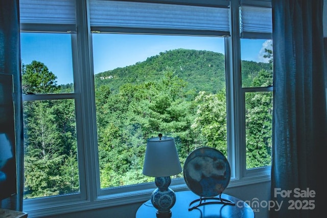 36 Lynx Dr, Black Mountain, NC 28711 - photo 6