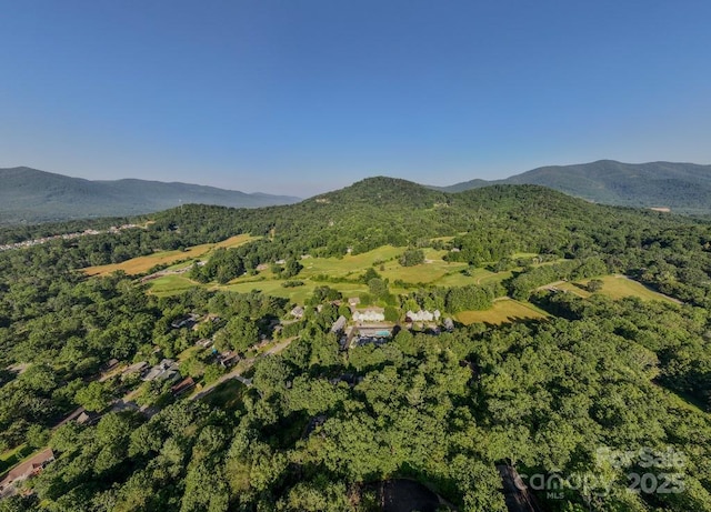 36 Lynx Dr, Black Mountain, NC 28711 - photo 7