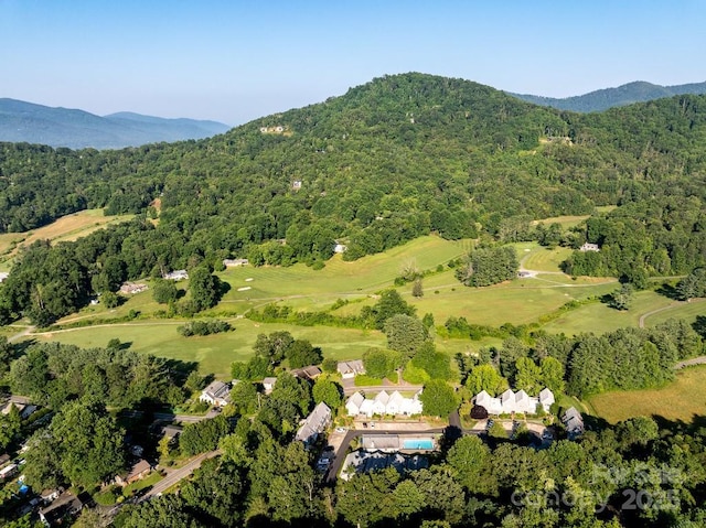 36 Lynx Dr, Black Mountain, NC 28711 - photo 8