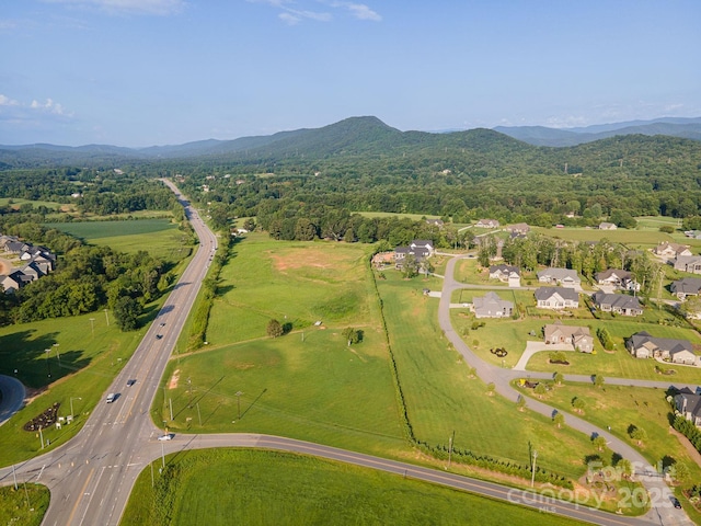 999999 Boylston Hwy, Mills River, NC 28759 - photo 9