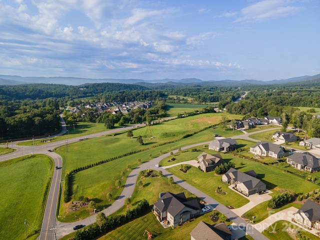 999999 Boylston Hwy, Mills River, NC 28759 - photo 11
