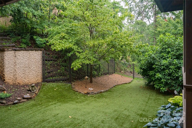 14 Clear Fork Ln, Fairview, NC 28730 - view of fenced backyard