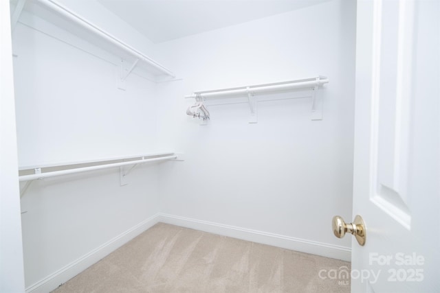 12004 Cobham Ct, Huntersville, NC 28078 - photo 29