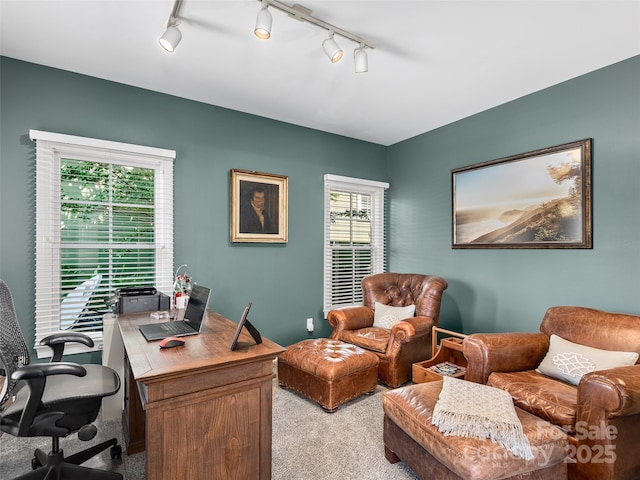 206 Leucothoe Ln, Asheville, NC 28803 - photo 12