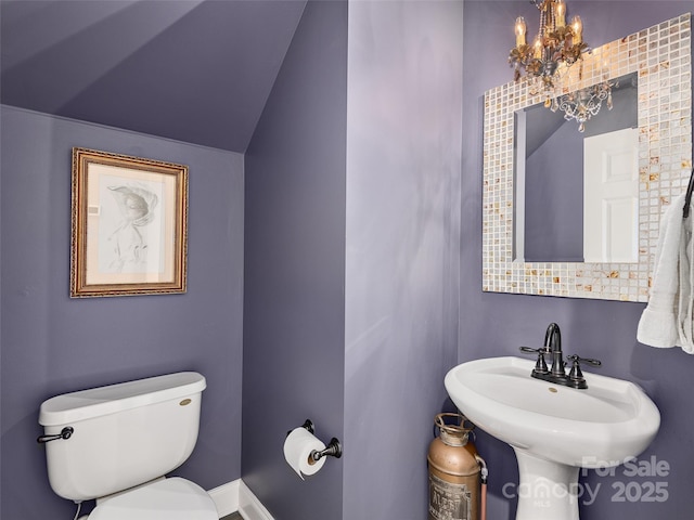 206 Leucothoe Ln, Asheville, NC 28803 - photo 13