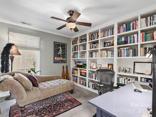 206 Leucothoe Ln, Asheville, NC 28803 - photo 22