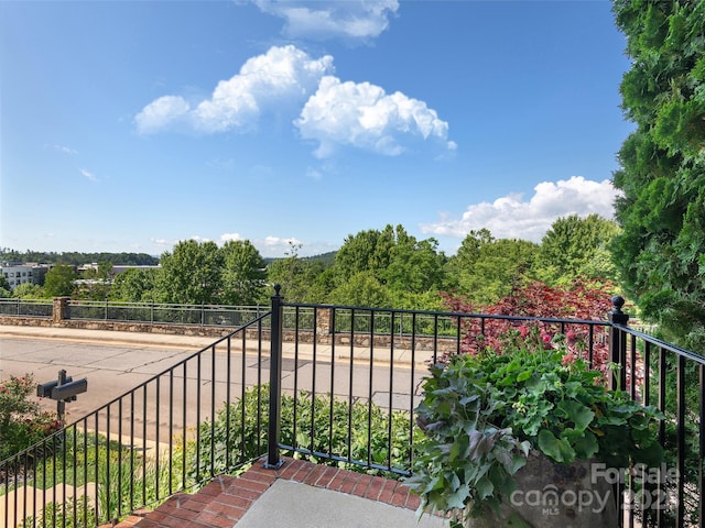 206 Leucothoe Ln, Asheville, NC 28803 - photo 25